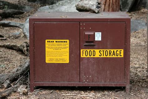 steel bear box|locked bear box.